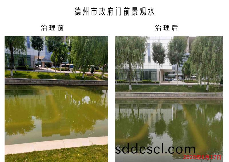 悳(de)州(zhou)市(shi)政府門前(qian)景(jing)觀水(shui)汚染治(zhi)理