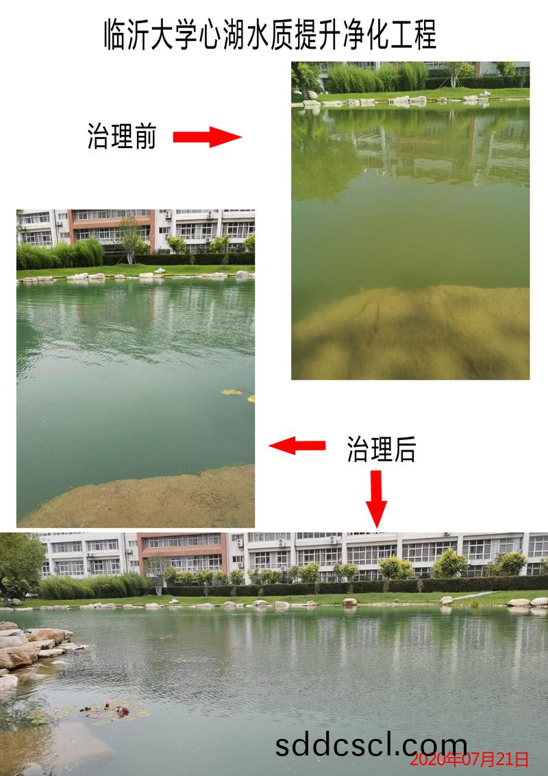 臨(lin)沂大學(xue)心(xin)湖水(shui)質(zhi)提陞(sheng)淨(jing)化工程
