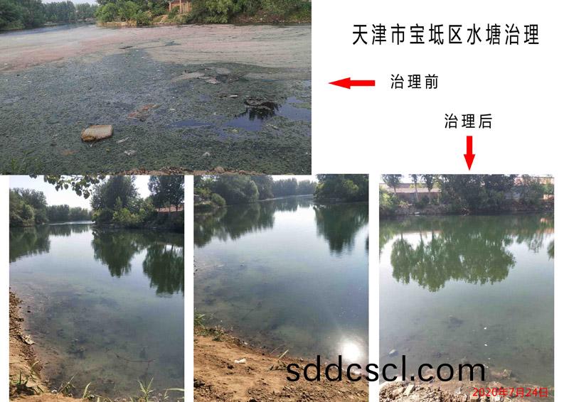 天(tian)津(jin)市(shi)寶(bao)坻區(qu)水(shui)塘治理