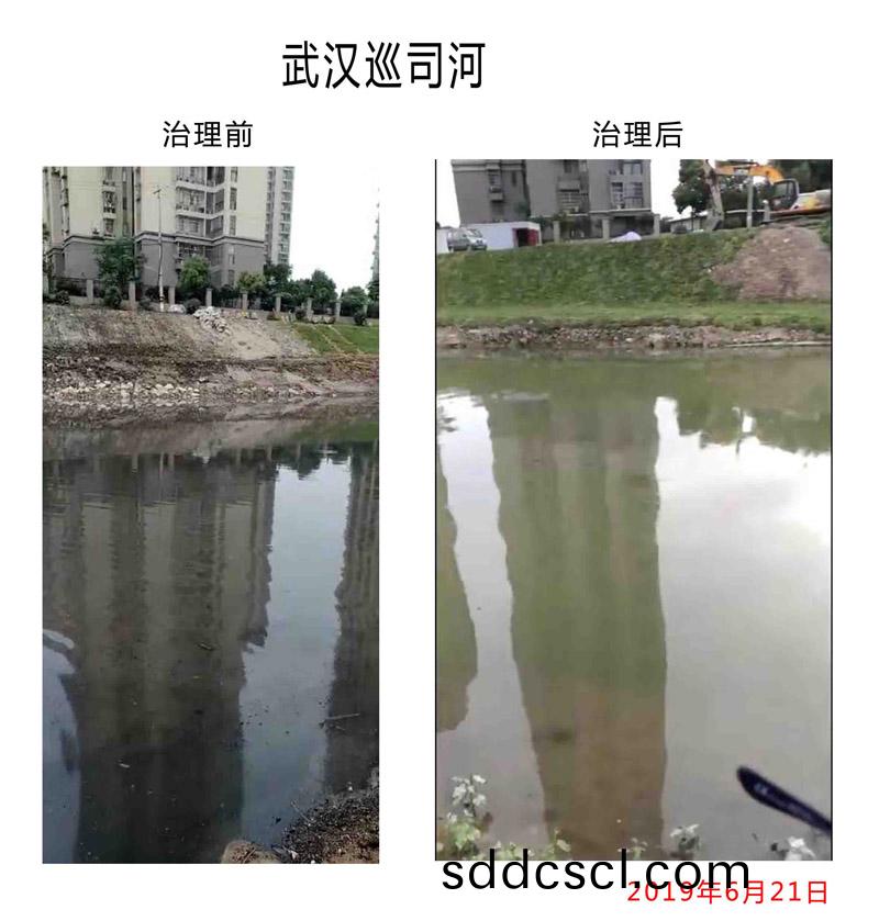 武漢(han)廵(xun)司河(he)
